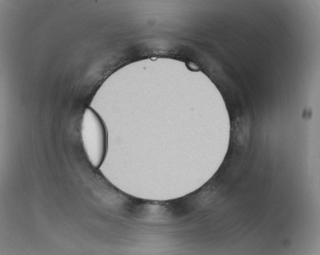X0000111780509200909031136