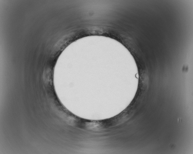 X0000111780511200909031136