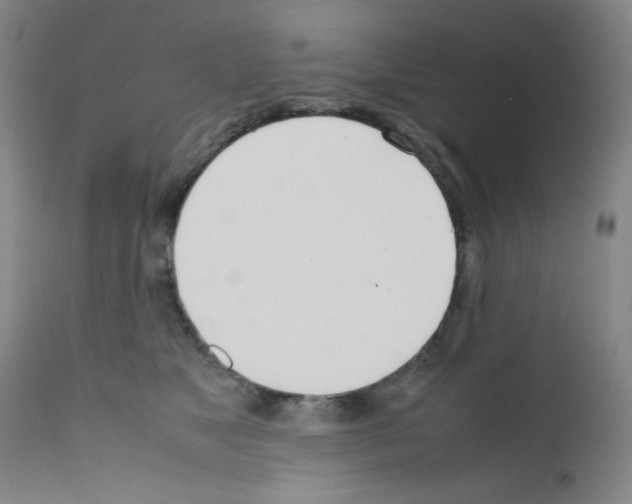 X0000111780517200909031136