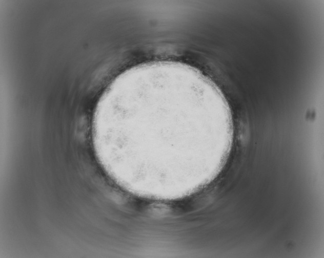 X0000111780519200909031136