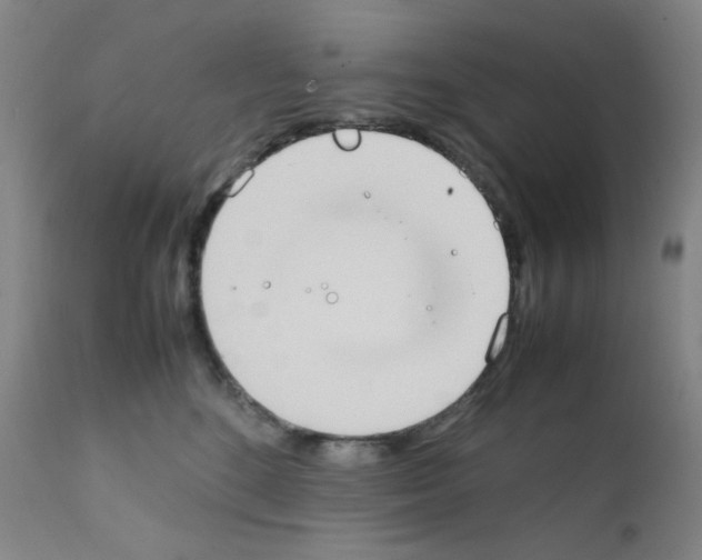 X0000111780520200909031136