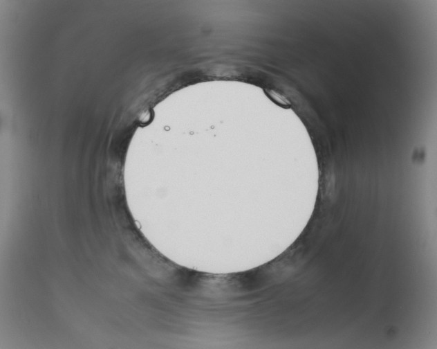 X0000111780521200909031136