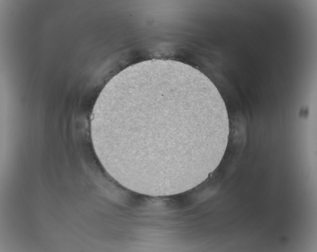 X0000111780523200909031136