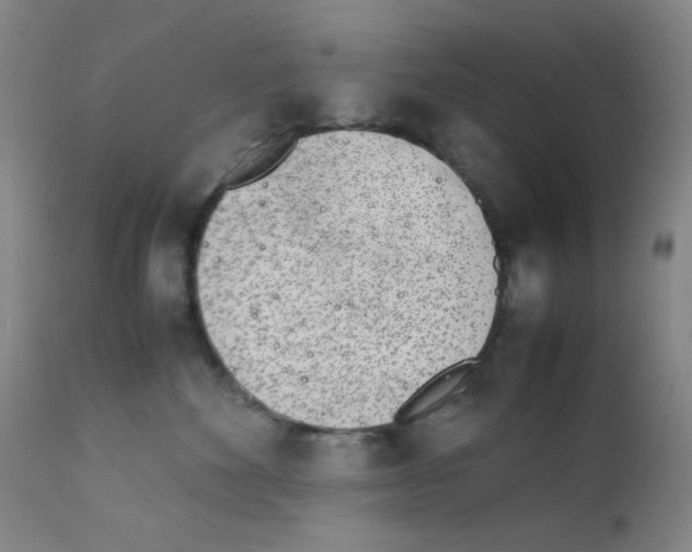 X0000111780524200909031136