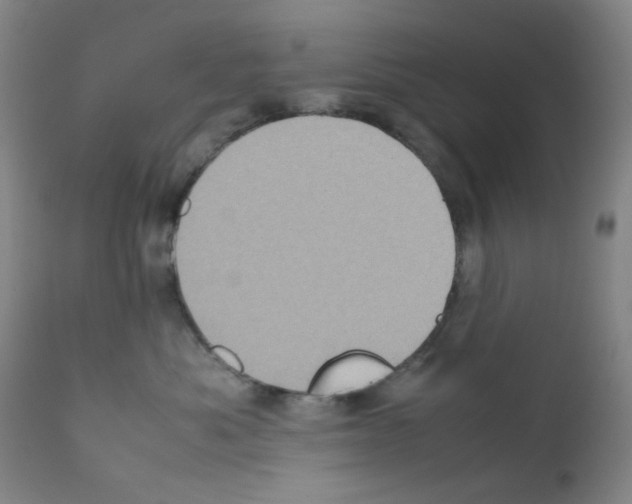 X0000111780525200909031136
