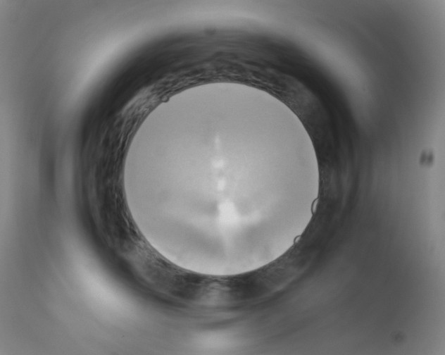 X0000111780526200909031136