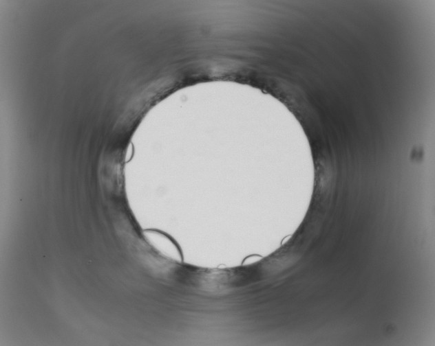 X0000111780527200909031136