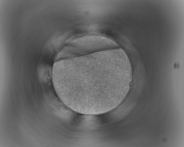 X0000111780528200909031136