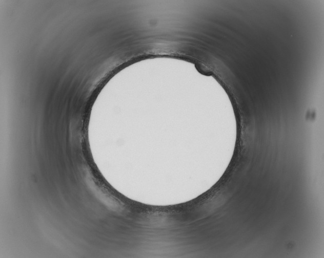 X0000111780530200909031135