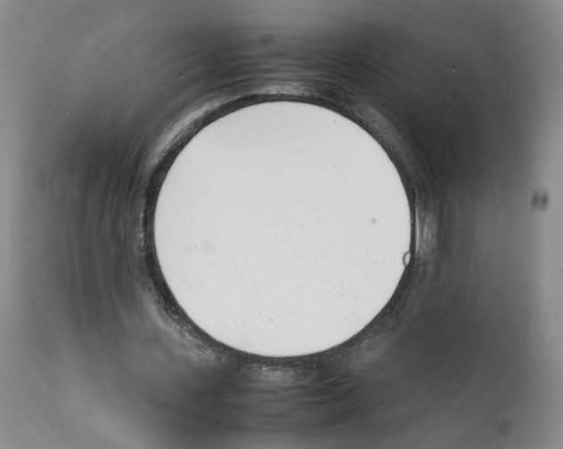 X0000111780531200909031135