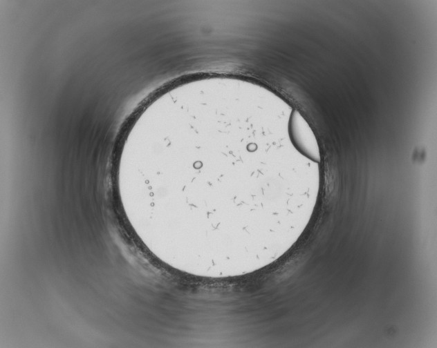 X0000111780532200909031135