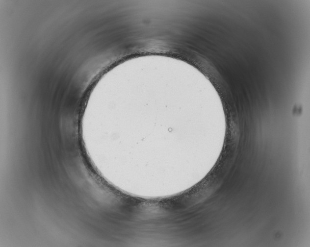 X0000111780534200909031135