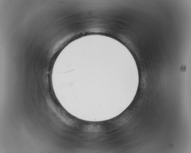 X0000111780535200909031135