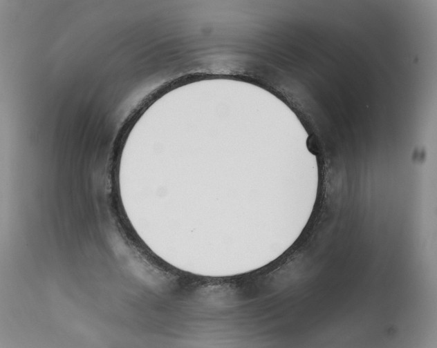 X0000111780536200909031135