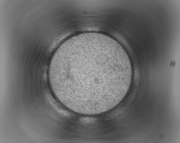 X0000111780537200909031135