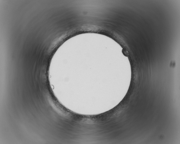 X0000111780538200909031135