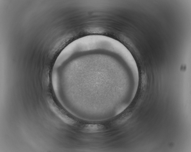 X0000111780541200909031135