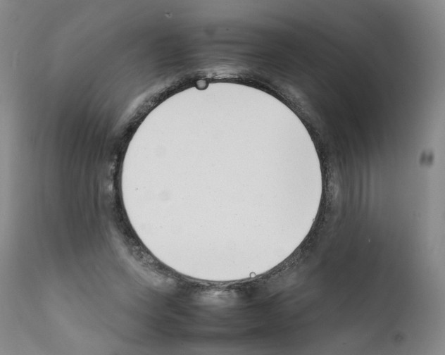 X0000111780543200909031135