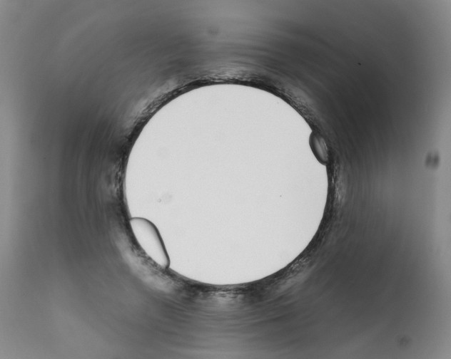 X0000111780546200909031136
