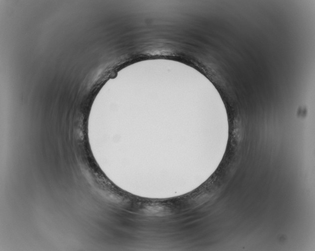 X0000111780547200909031136