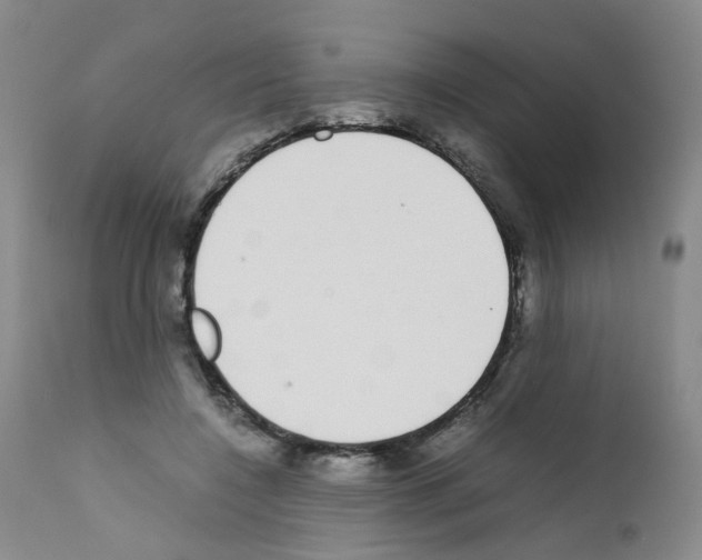 X0000111780548200909031136
