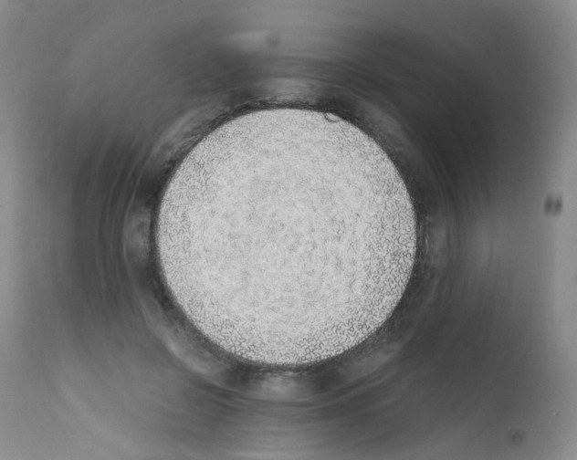 X0000111780550200909031136