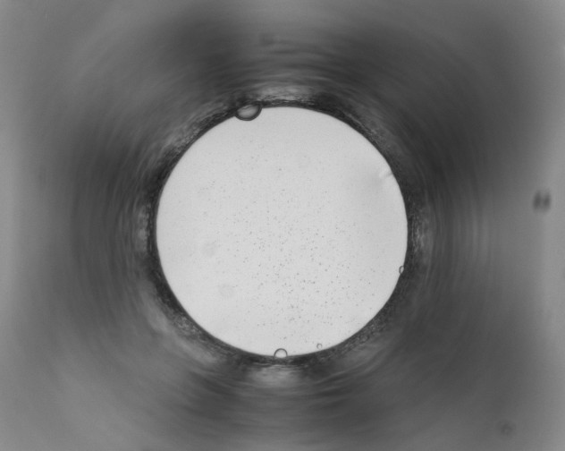 X0000111780551200909031136