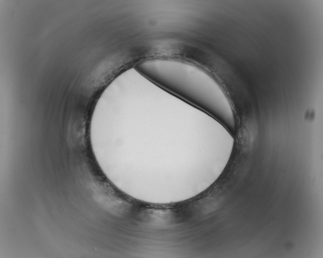 X0000111780552200909031136