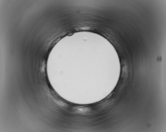 X0000111780555200909031136