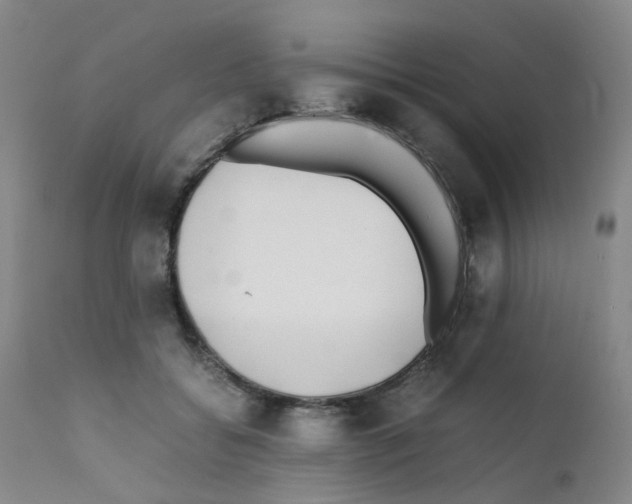 X0000111780556200909031136