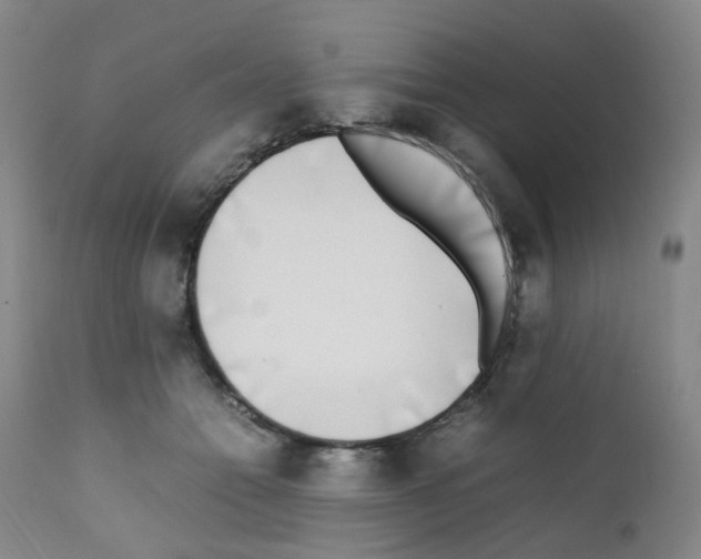 X0000111780558200909031136