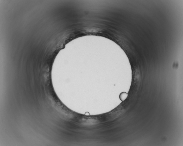 X0000111780559200909031136