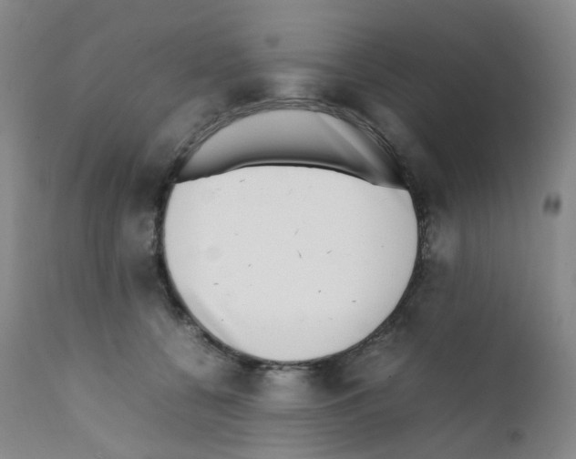 X0000111780560200909031136