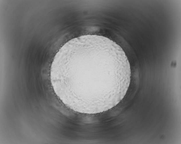 X0000111780565200909031136