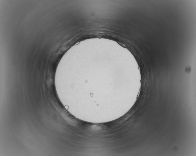 X0000111780566200909031136
