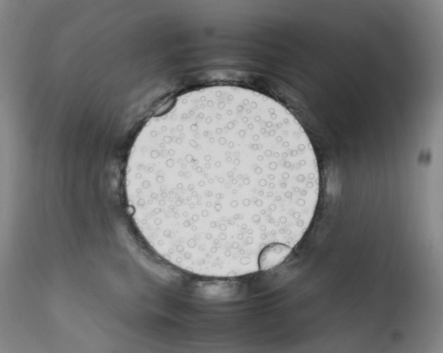 X0000111780567200909031136