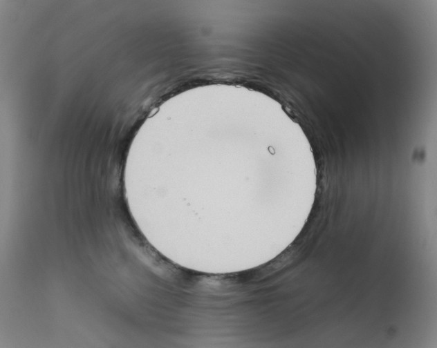 X0000111780568200909031136