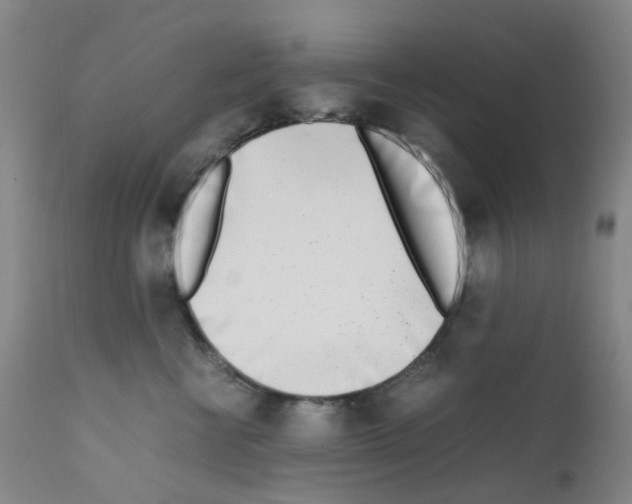 X0000111780570200909031136