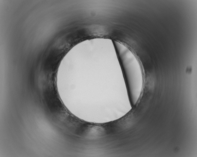 X0000111780572200909031136