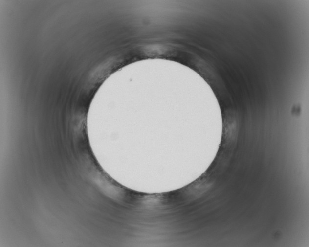 X0000111780574200909031136