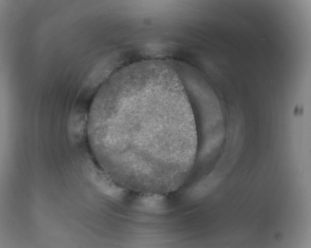 X0000111780576200909031136