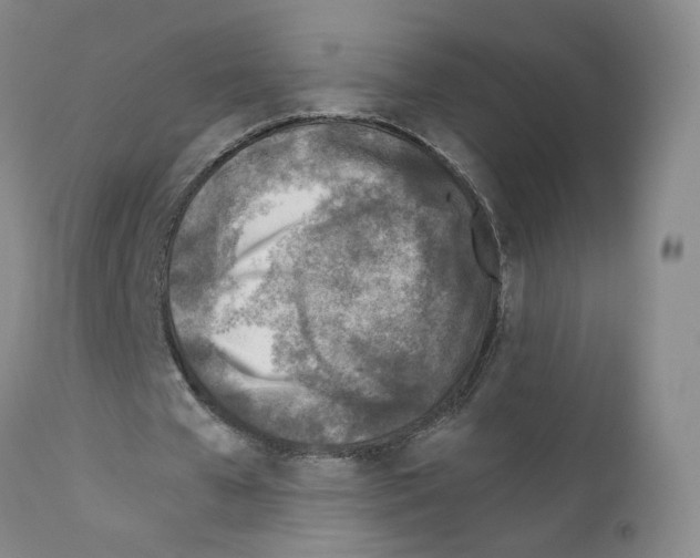 X0000111780577200909031135