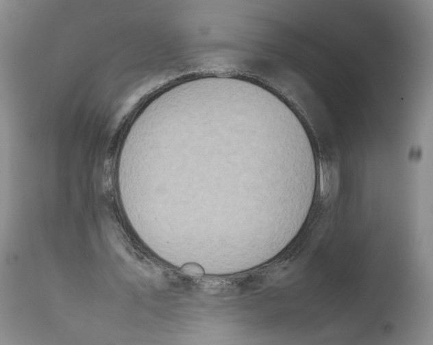 X0000111780579200909031135
