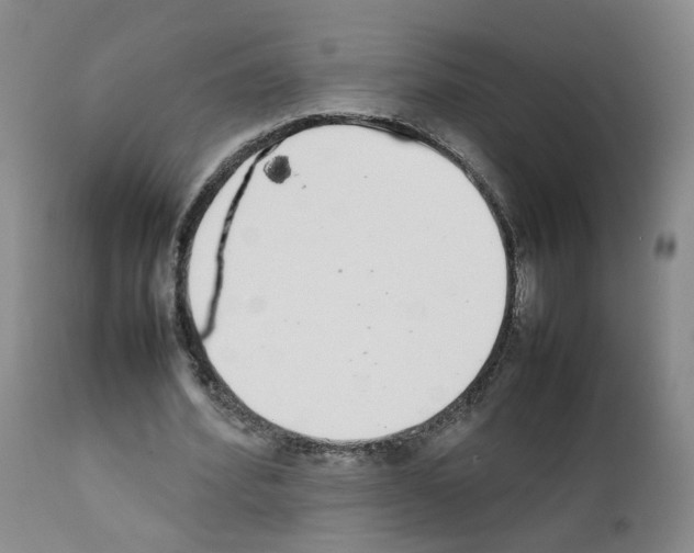 X0000111780580200909031135