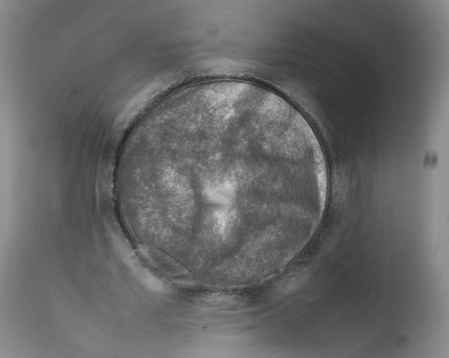 X0000111780581200909031135