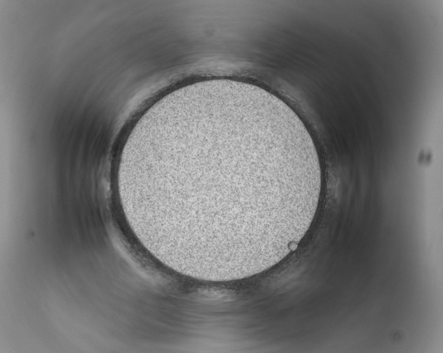 X0000111780582200909031135