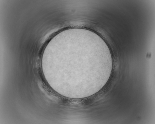 X0000111780583200909031135