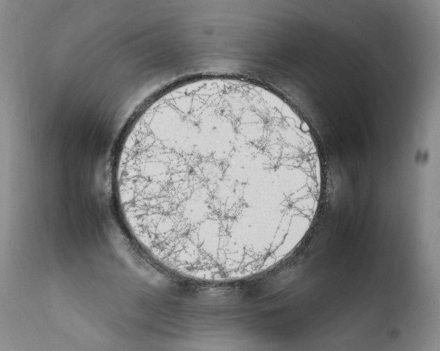 X0000111780584200909031135
