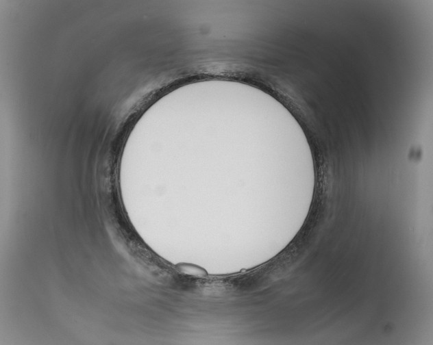 X0000111780587200909031135