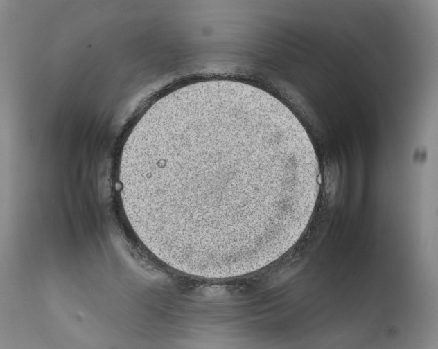 X0000111780588200909031135